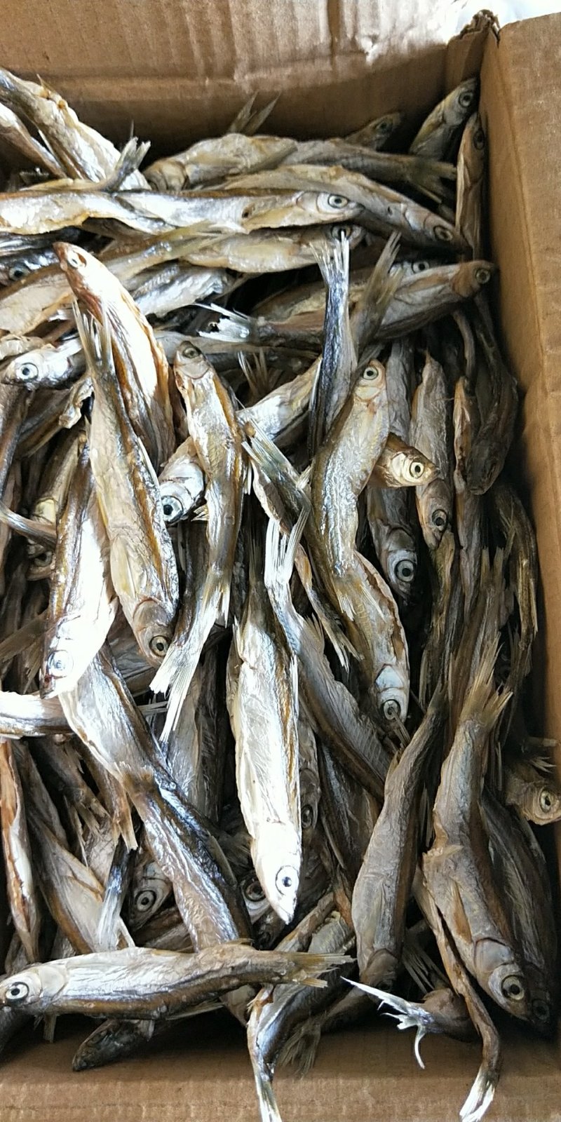 河鱼干/蓝刀/开肚/烘干/淡水/微咸/小鱼干/