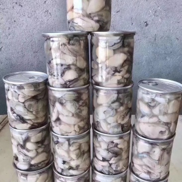 生蚝肉鲜活现剥新鲜即食生蚝肉去壳牡蛎肉冷冻青岛红岛海蛎子