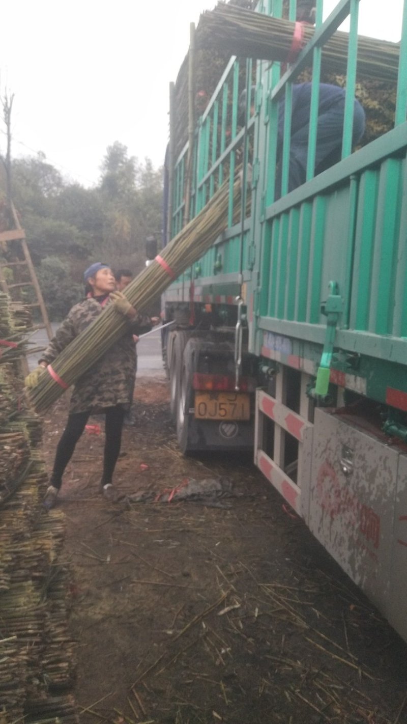 各种西瓜大棚竹竿，养殖大棚竹竿，排山竹，香蕉芒果欢迎订货