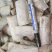 带鱼段渤海湾带鱼段3-5两