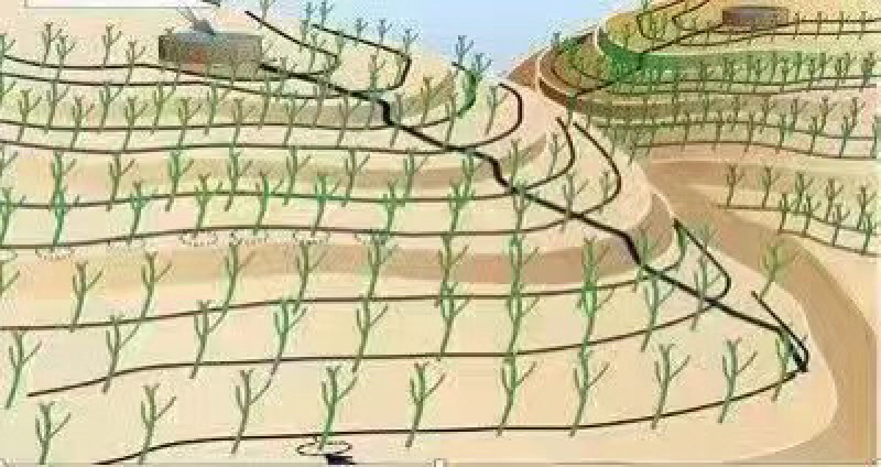 型号齐全价格优惠的滴灌带