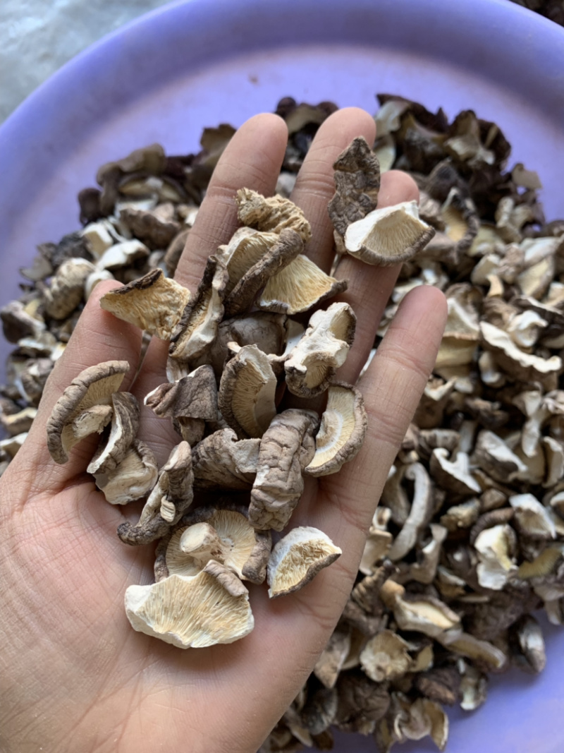 2026新货干香菇碎片