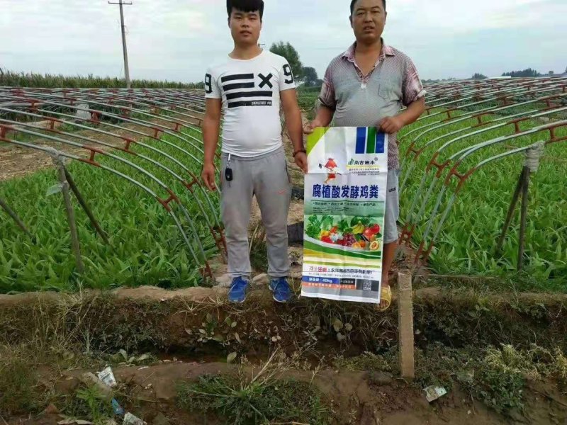 鸡粪，生态有机肥，消除土壤板结，抗重茬，含活化腐殖酸