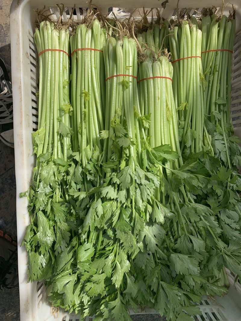 【精选】一级香芹批发大量上市商超品质基地直供