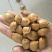 开口杏核，奶香味，五香味中龙666666