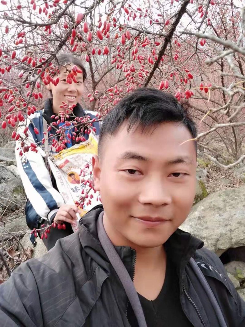 热卖中》洛阳山茱萸山萸肉枣皮红枣皮山芋肉山萸肉