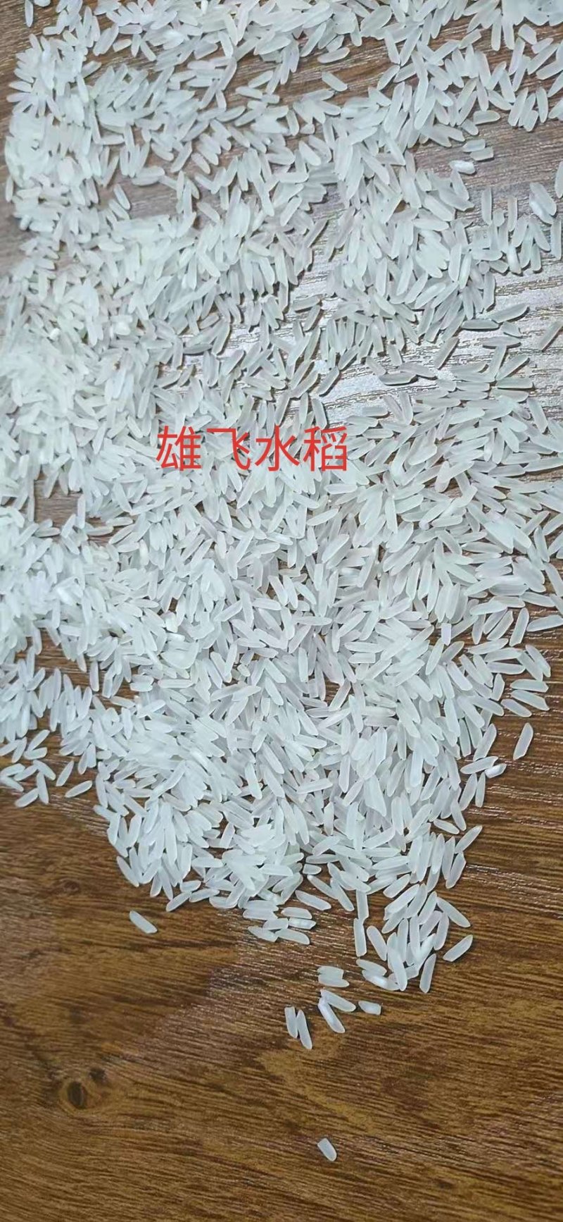 湖北荆州晚稻黄花粘稻虾稻虾田稻稻谷美香粘2号