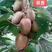 软枣猕猴桃销售树苗品种纯正技术支持签订合同