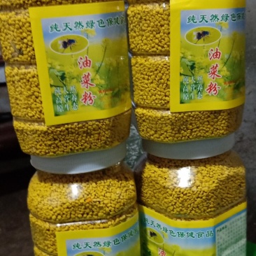 油菜花粉（青海高原无污染油菜花粉）青海油菜花粉，