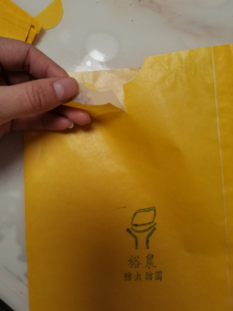 水果套袋黄金梨子套袋外黄内白，枇杷套袋等
