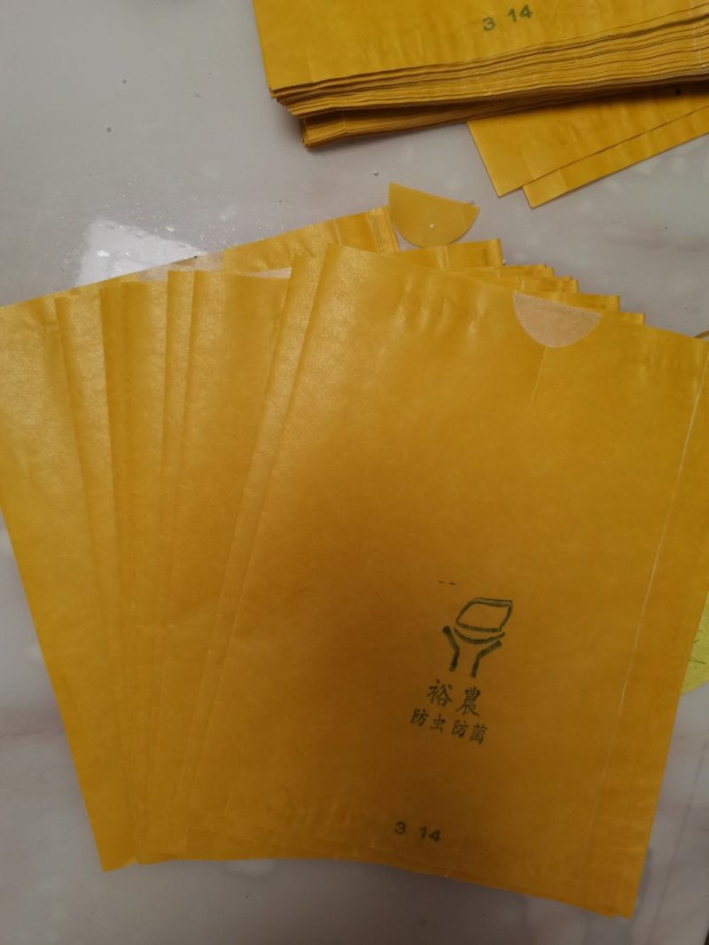 水果套袋黄金梨子套袋外黄内白，枇杷套袋等