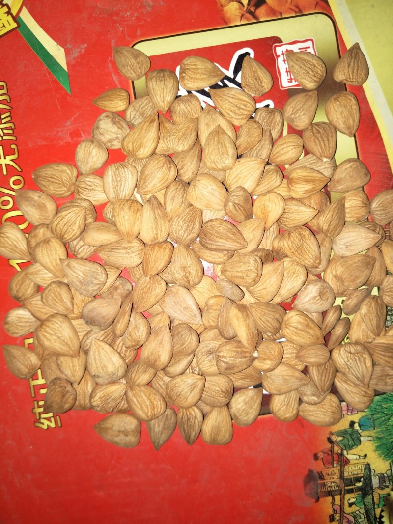 开口杏核，奶香味，五香味。。。。。。。。