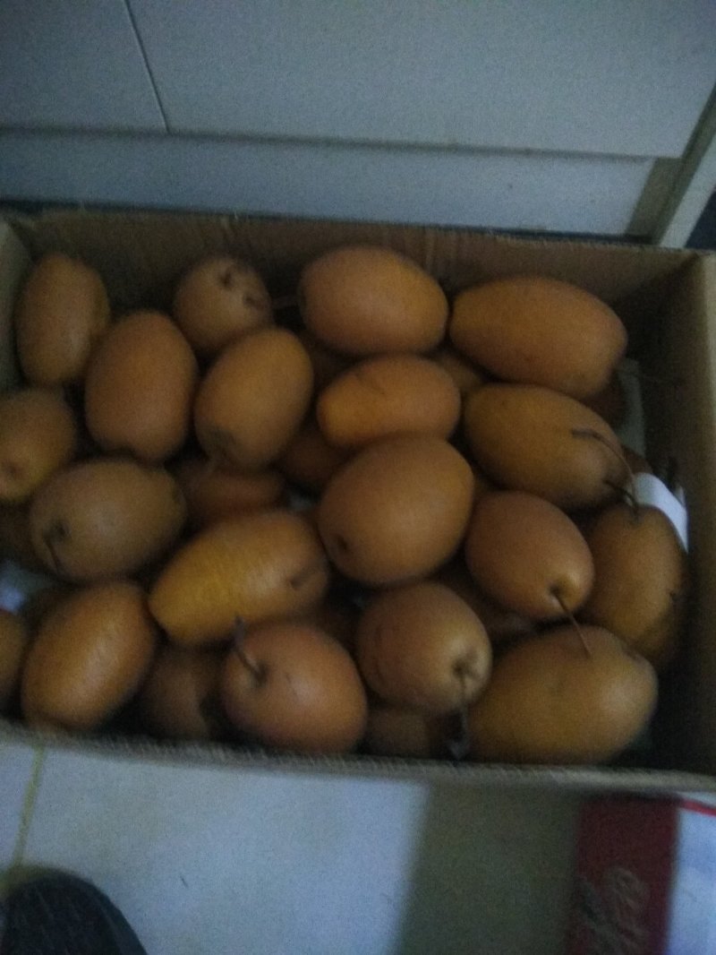 沙梨王