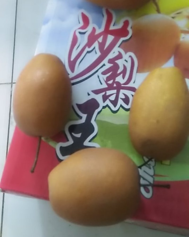 沙梨王