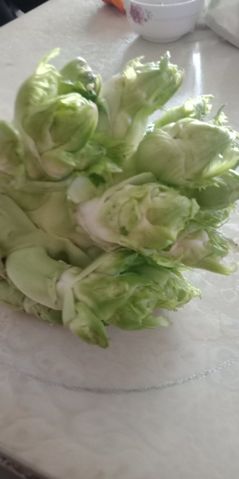 儿菜