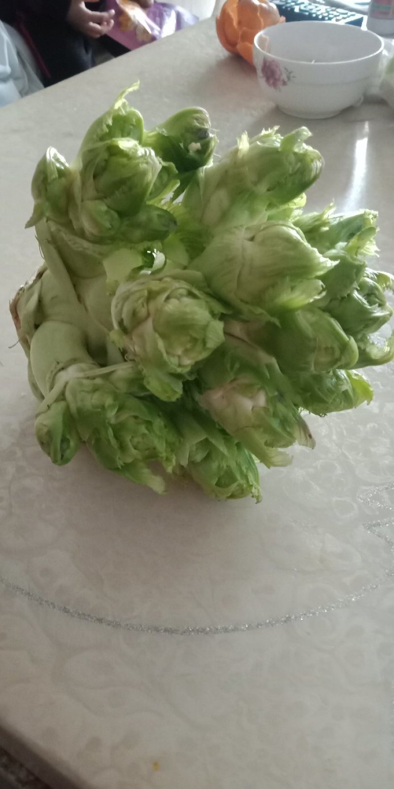 儿菜