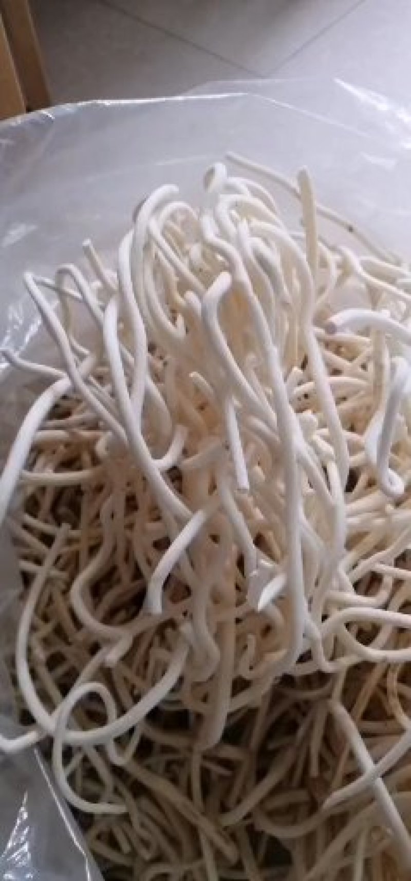 小通草纯野生可视频看货产地湖北
