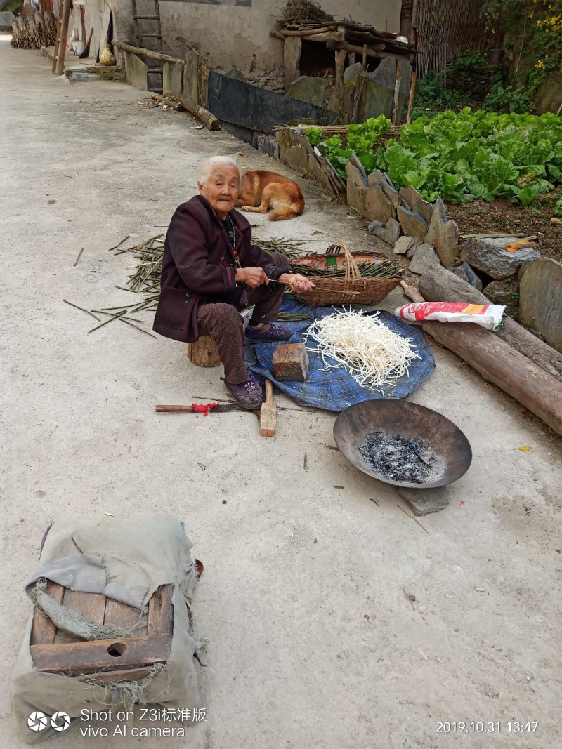 小通草纯野生可视频看货产地湖北