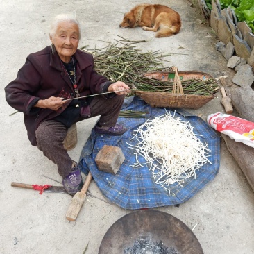 小通草纯野生可视频看货产地湖北