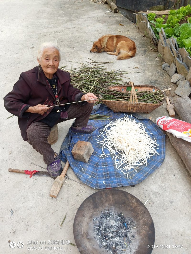 小通草纯野生可视频看货产地湖北