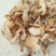白芨纯野生三叉白芨移栽林下仿野生种植可视采挖