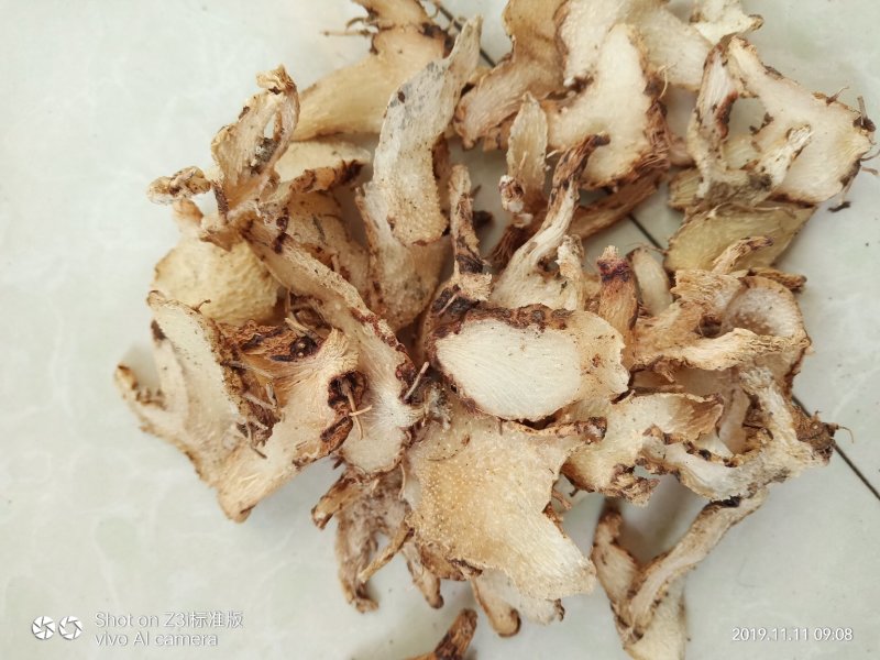 白芨纯野生三叉白芨移栽林下仿野生种植可视采挖