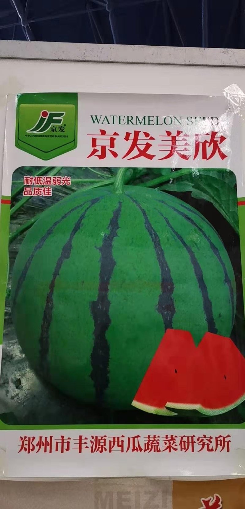 赢春西瓜种子口感好微萌美都美都种子