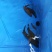 斑鳜。老虎鳜，圆桶鳜，野生斑鳜