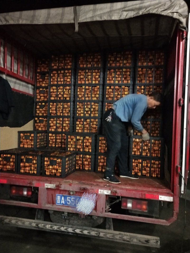 大量供应爱媛电商果市场果高次果(二级果)一手货源