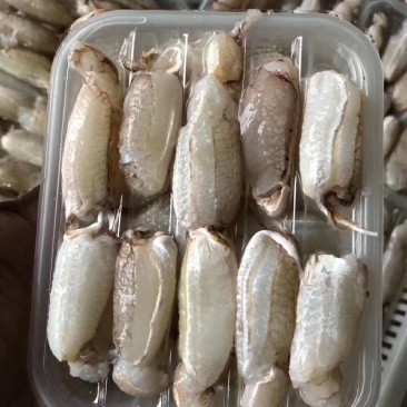 扁蟹大蟹脚肉无泡发塑封盒装。