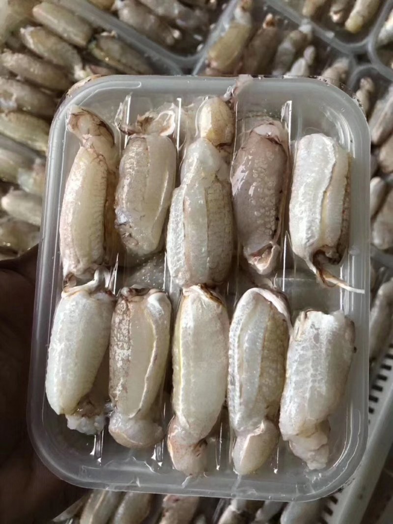 扁蟹大蟹脚肉无泡发塑封盒装。