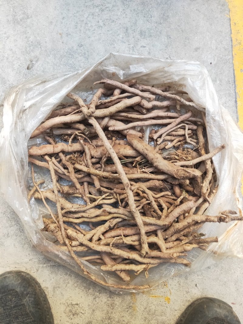 铁扫把，万丈深，