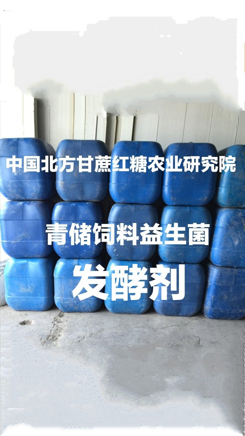 糖蜜北方甘蔗手工糖蜜手工红糖后的天然红糖糖蜜