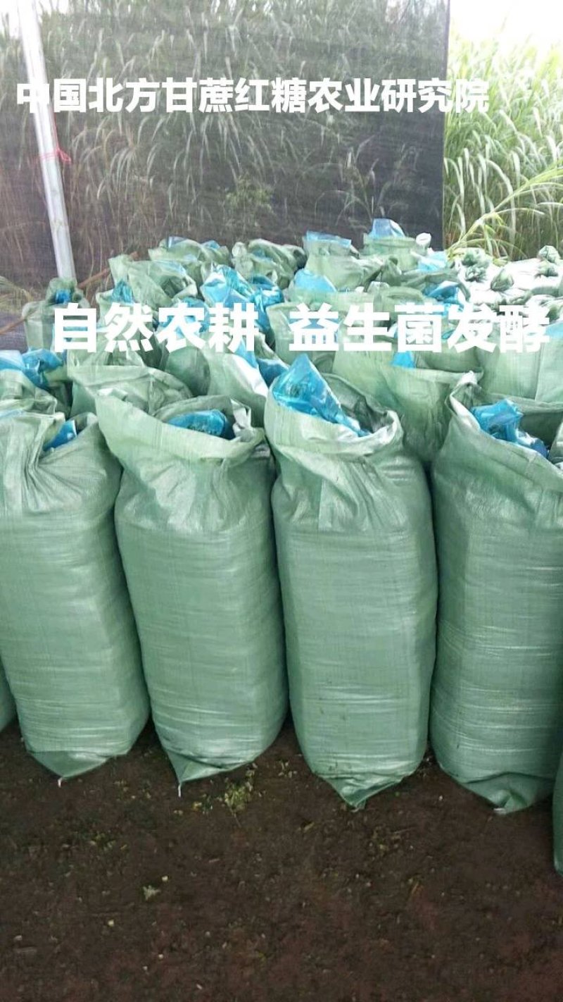 糖蜜北方甘蔗手工糖蜜手工红糖后的天然红糖糖蜜