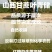 糖蜜北方甘蔗手工糖蜜手工红糖后的天然红糖糖蜜