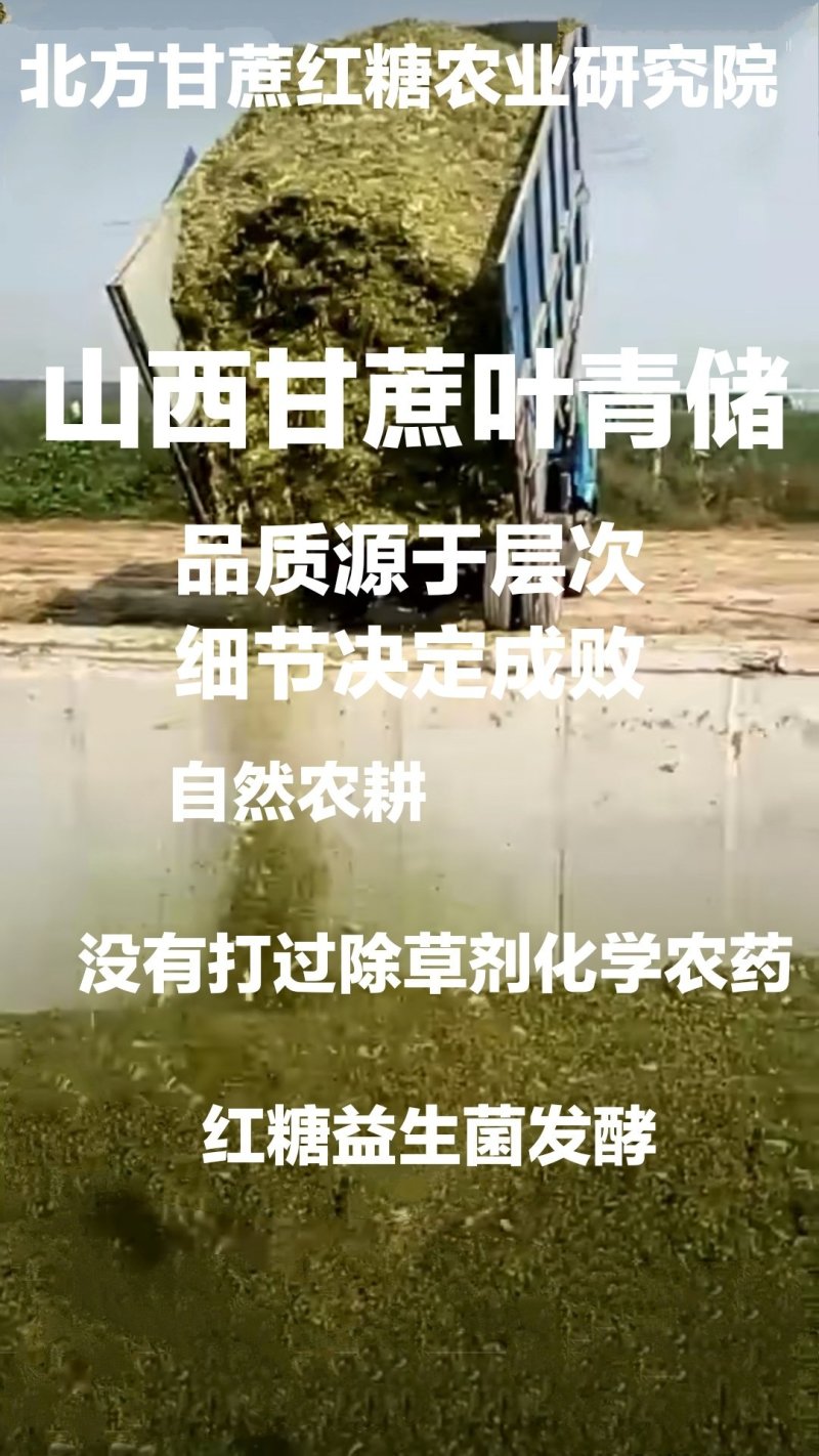 糖蜜北方甘蔗手工糖蜜手工红糖后的天然红糖糖蜜