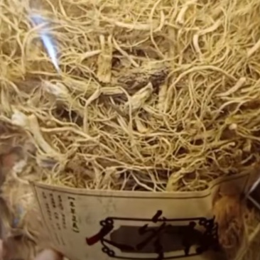 六年生人参白混须和西洋崭顺