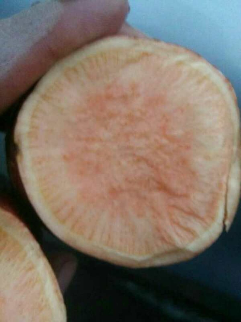 红薯3两以上红心黄心山东省沂水县大量供应