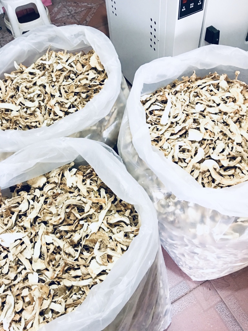 野生去皮松茸干片香格里拉自烘