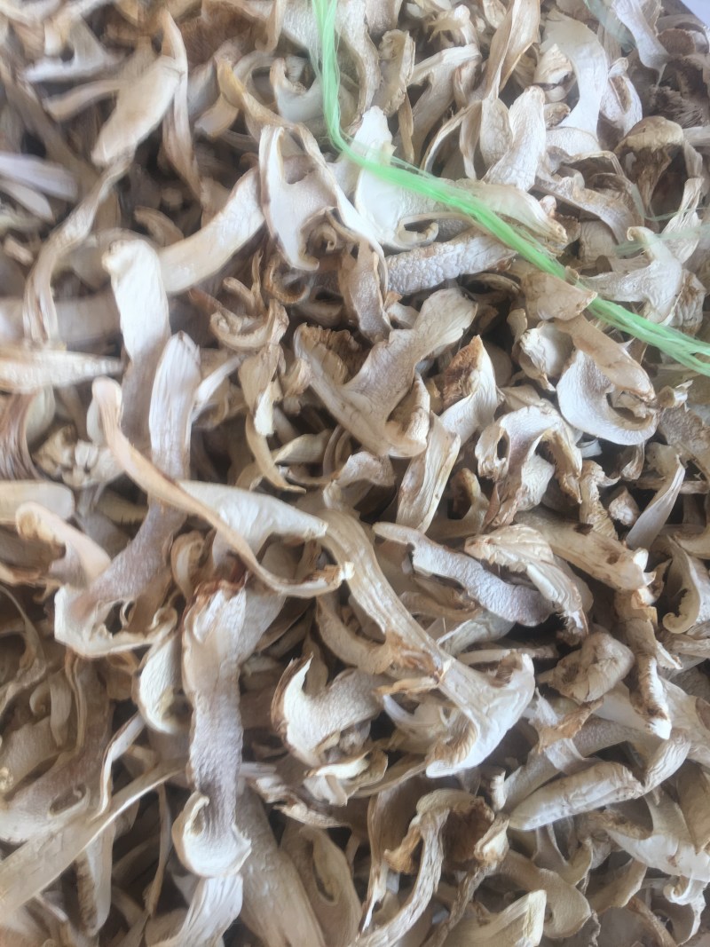 野生去皮松茸干片香格里拉自烘