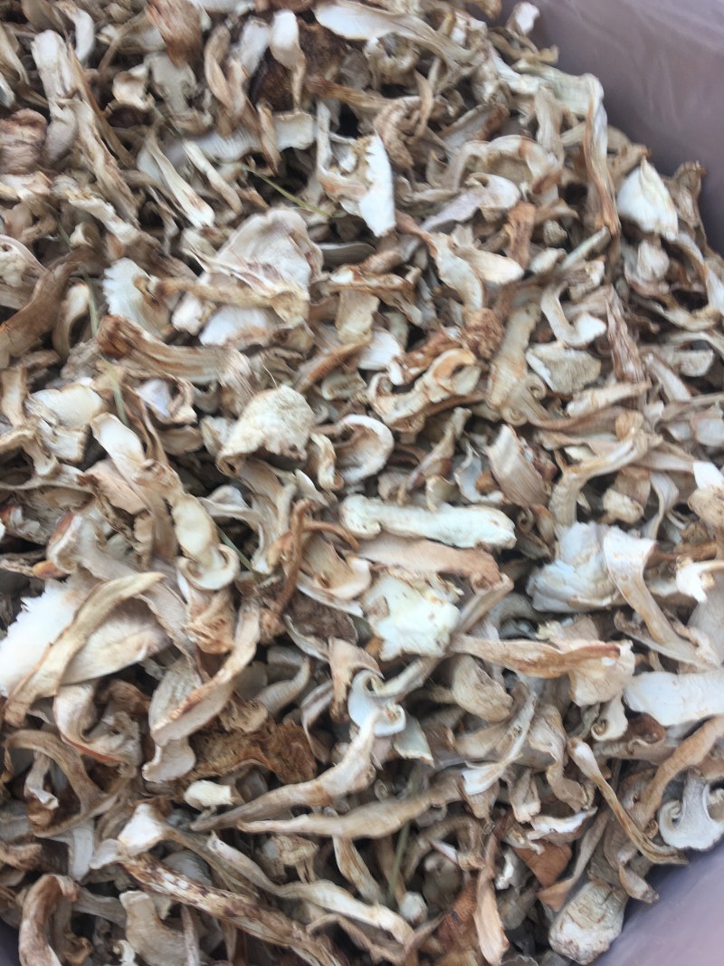 野生去皮松茸干片香格里拉自烘