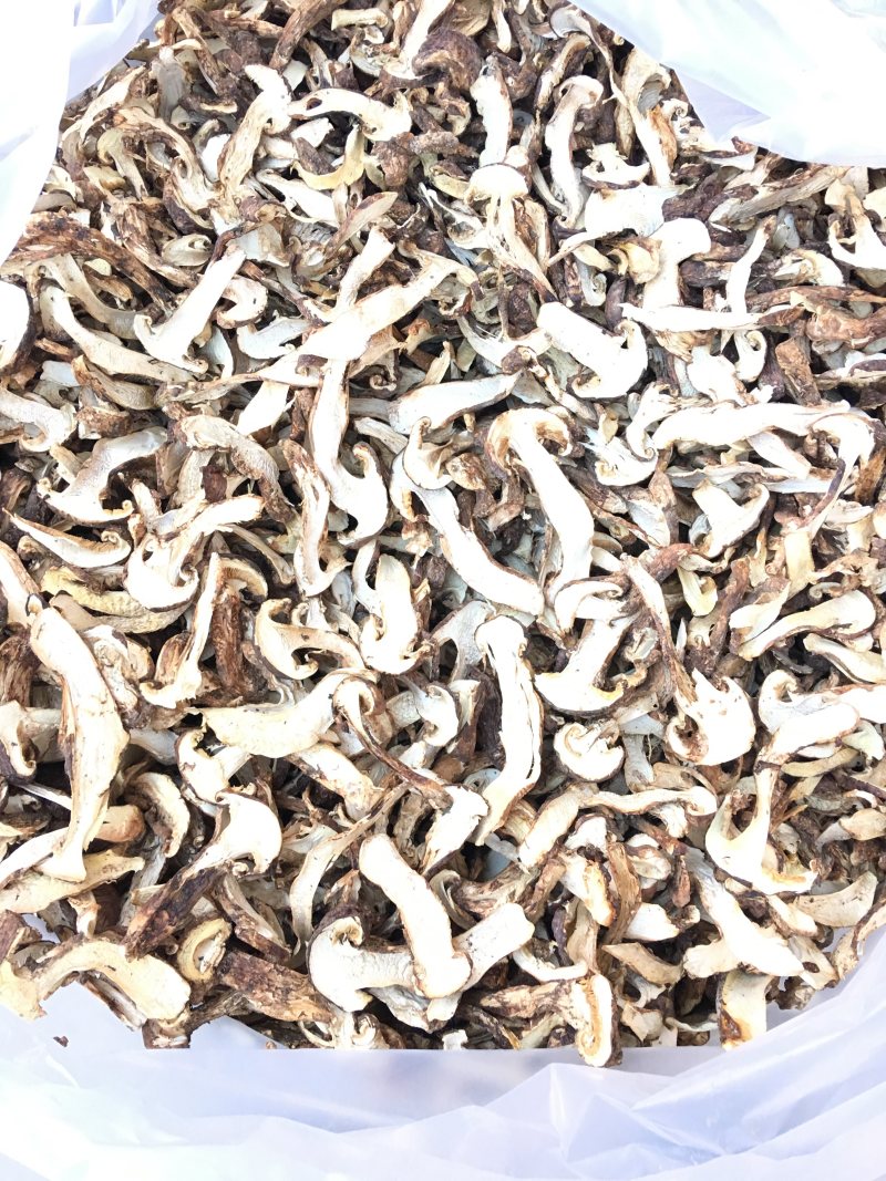 野生去皮松茸干片香格里拉自烘
