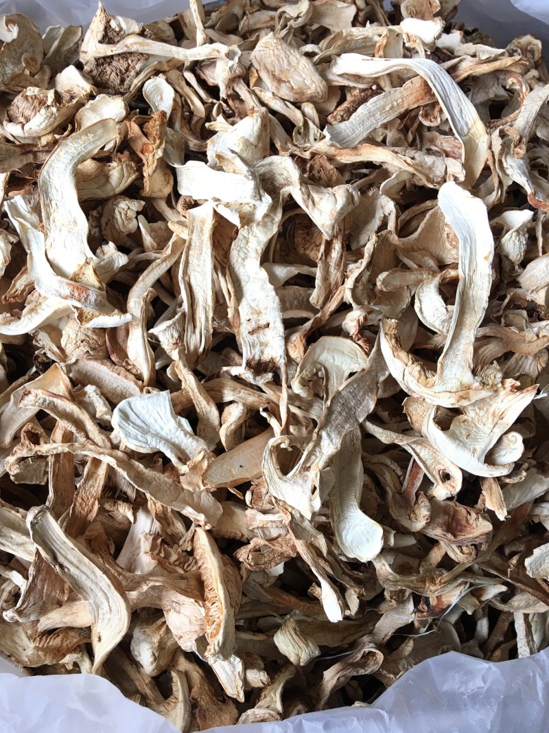 野生去皮松茸干片香格里拉自烘