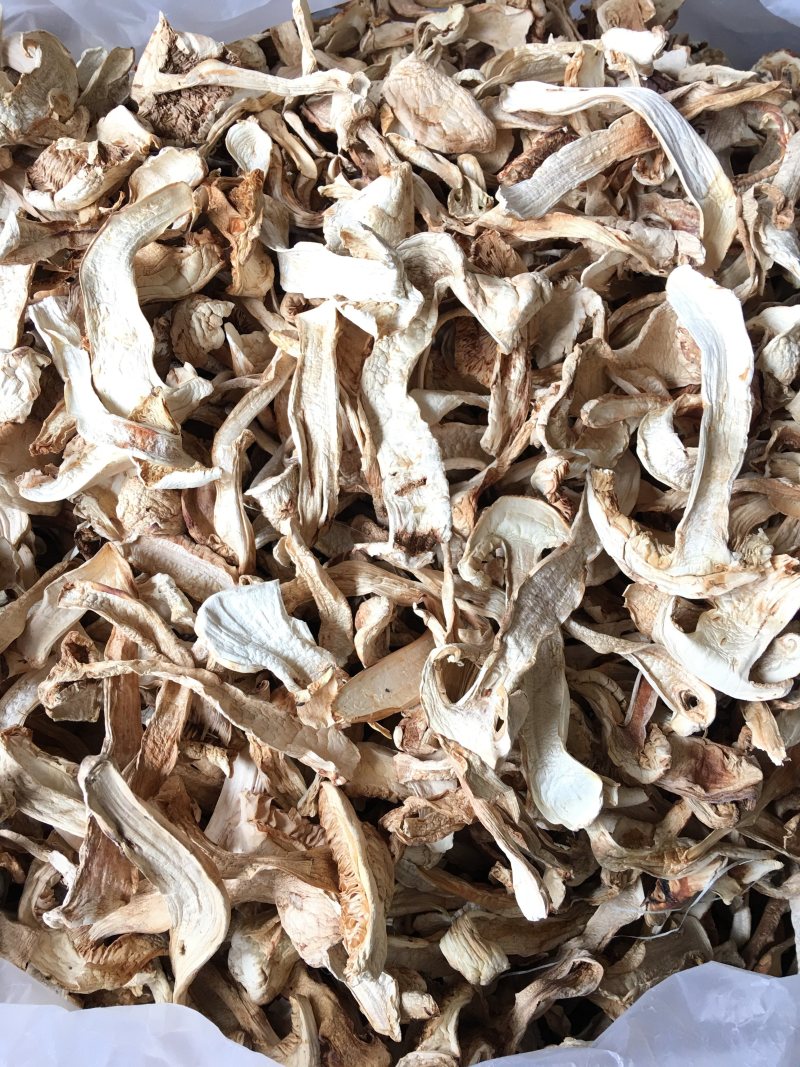野生去皮松茸干片香格里拉自烘