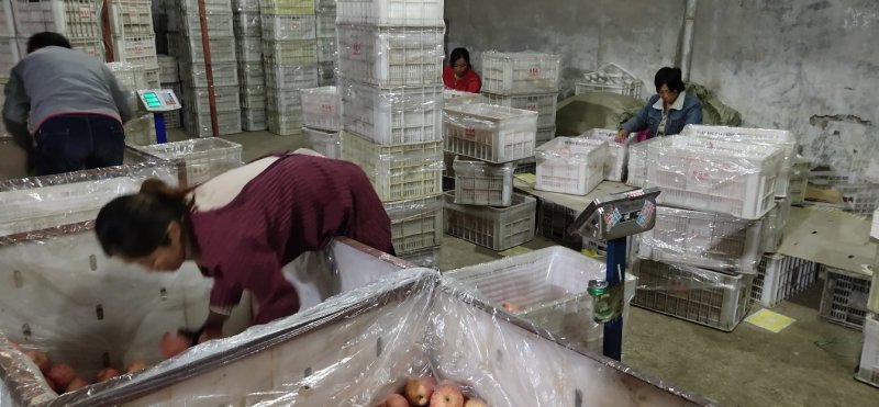 栖霞纸加膜苹果65果70果75果一级果冷库大量出新苹果