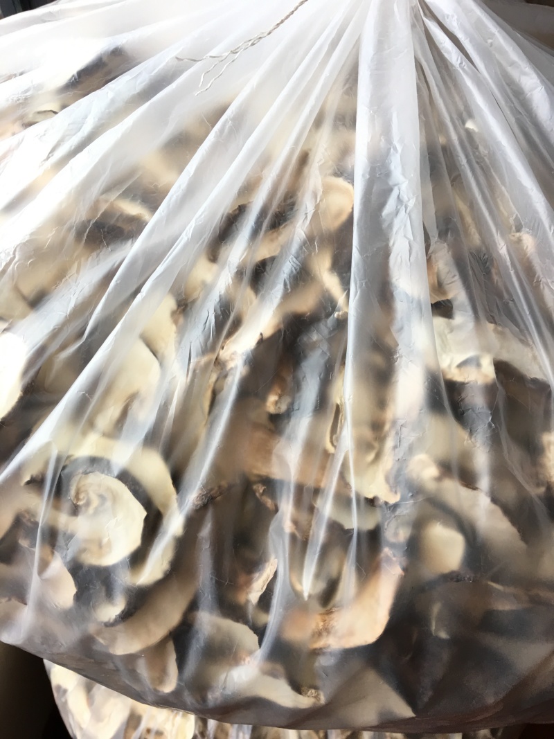 野生带皮松茸干片香格里拉自烘不零售