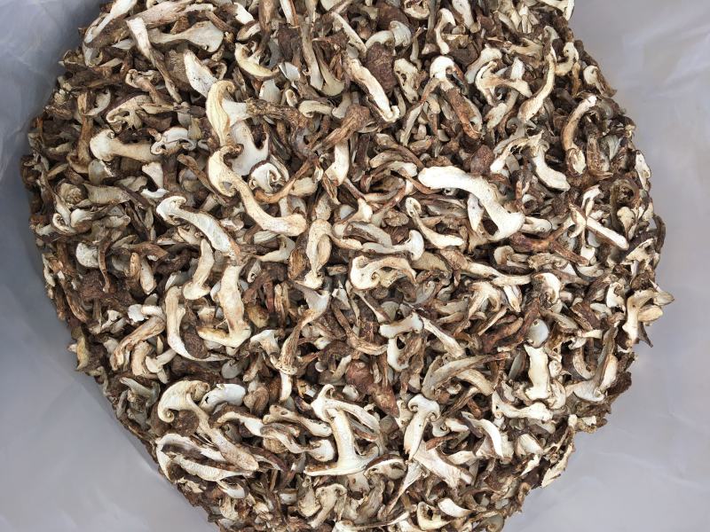 野生带皮松茸干片香格里拉自烘不零售