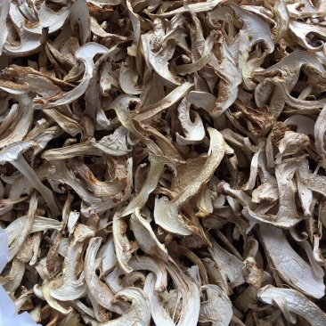 野生带皮松茸干片香格里拉自烘不零售