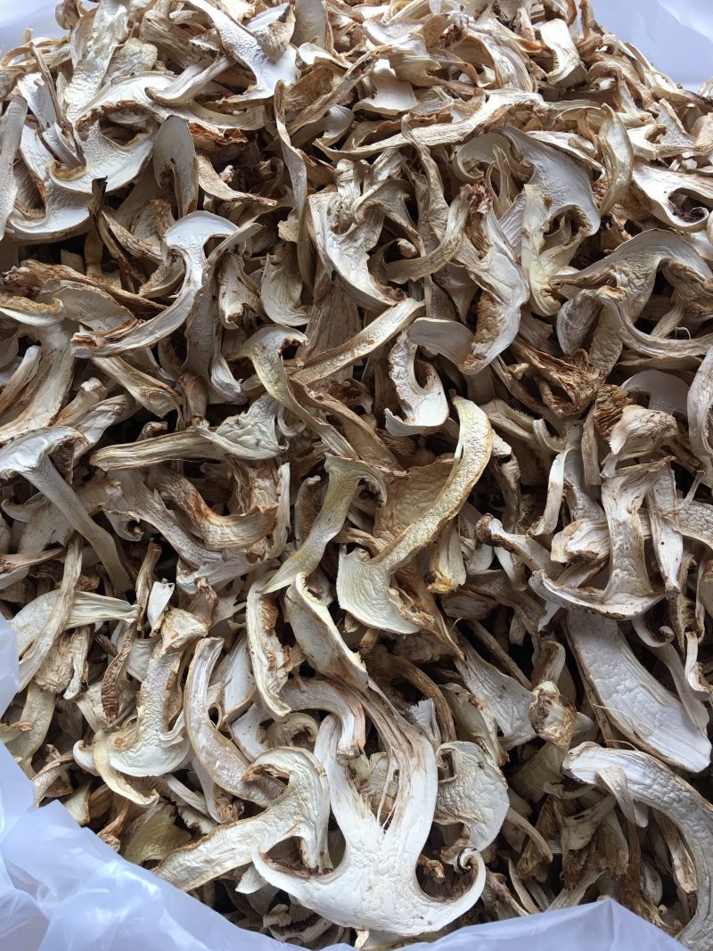 野生带皮松茸干片香格里拉自烘不零售