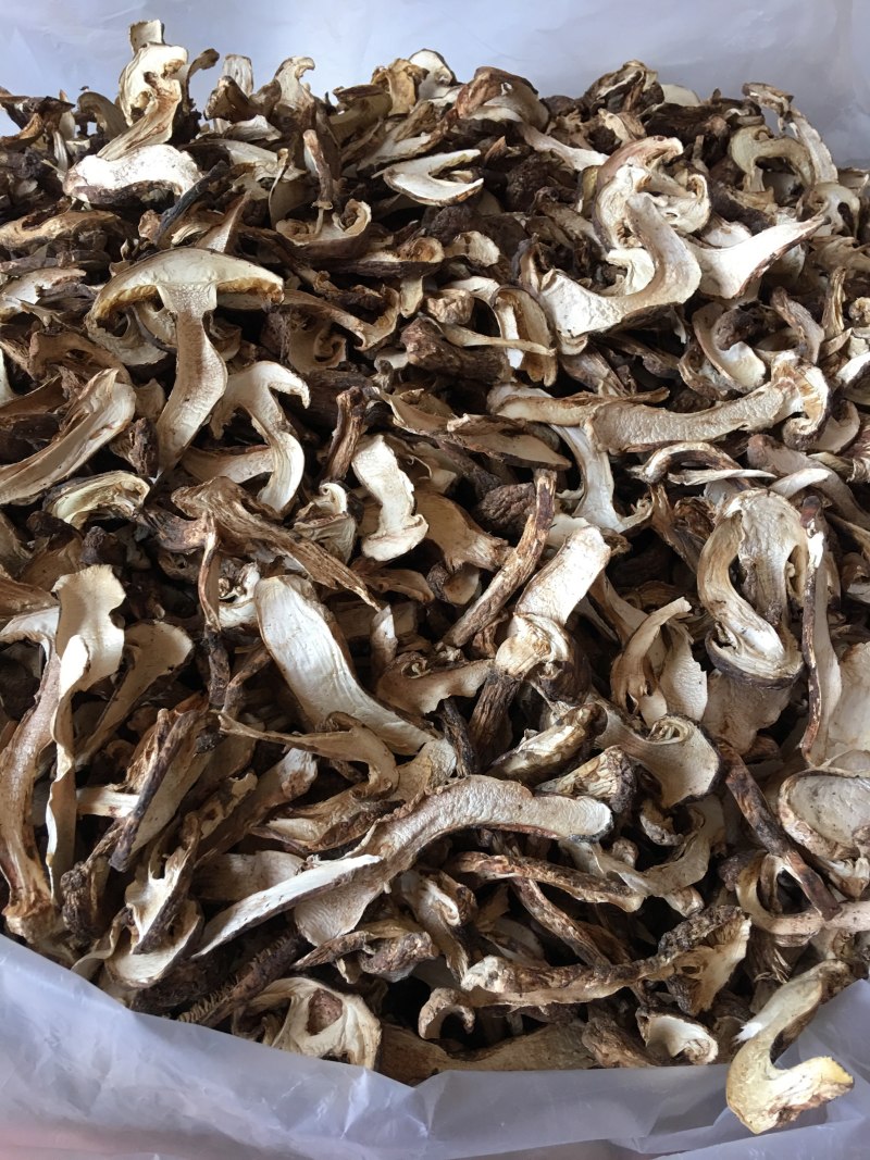 野生带皮松茸干片香格里拉自烘不零售